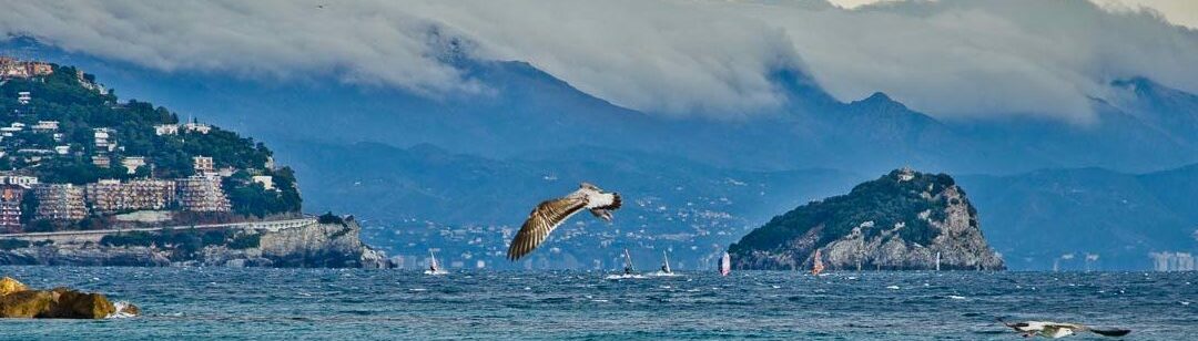 isola-bergeggi-1080x480 Mare di Bergeggi